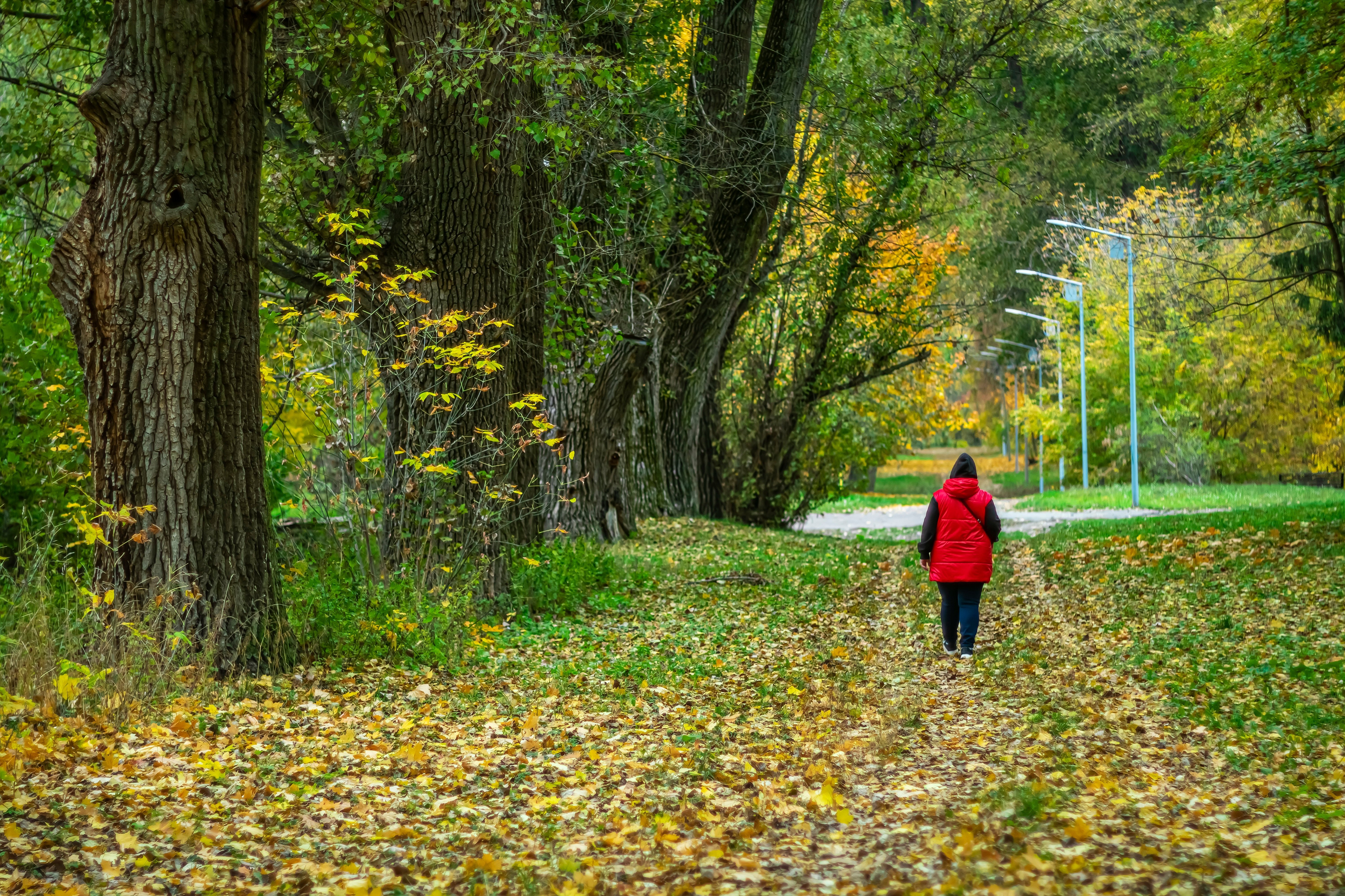 Vremea azi, 28 octombrie. Încă o zi mohorâtă, dar mai caldă și cu mai puține ploi. Ce temperaturi vor fi