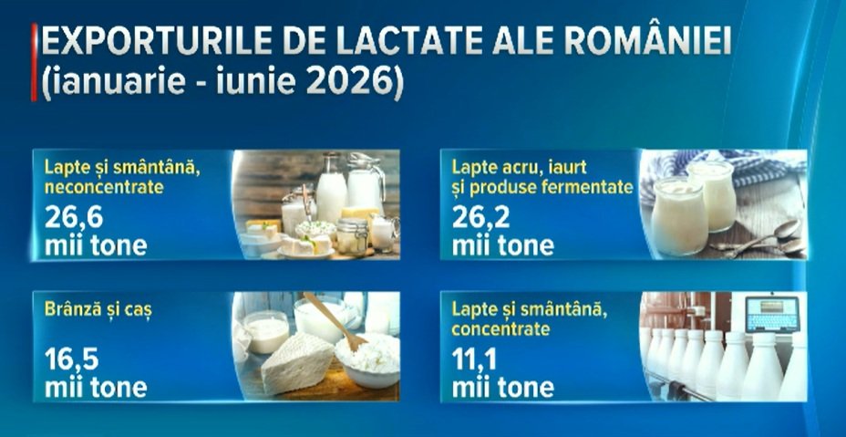 România exportă tot mai multe alimente, dar continuă să importe mai mult decât vinde. Ce produse au înregistrat creșteri de 8%